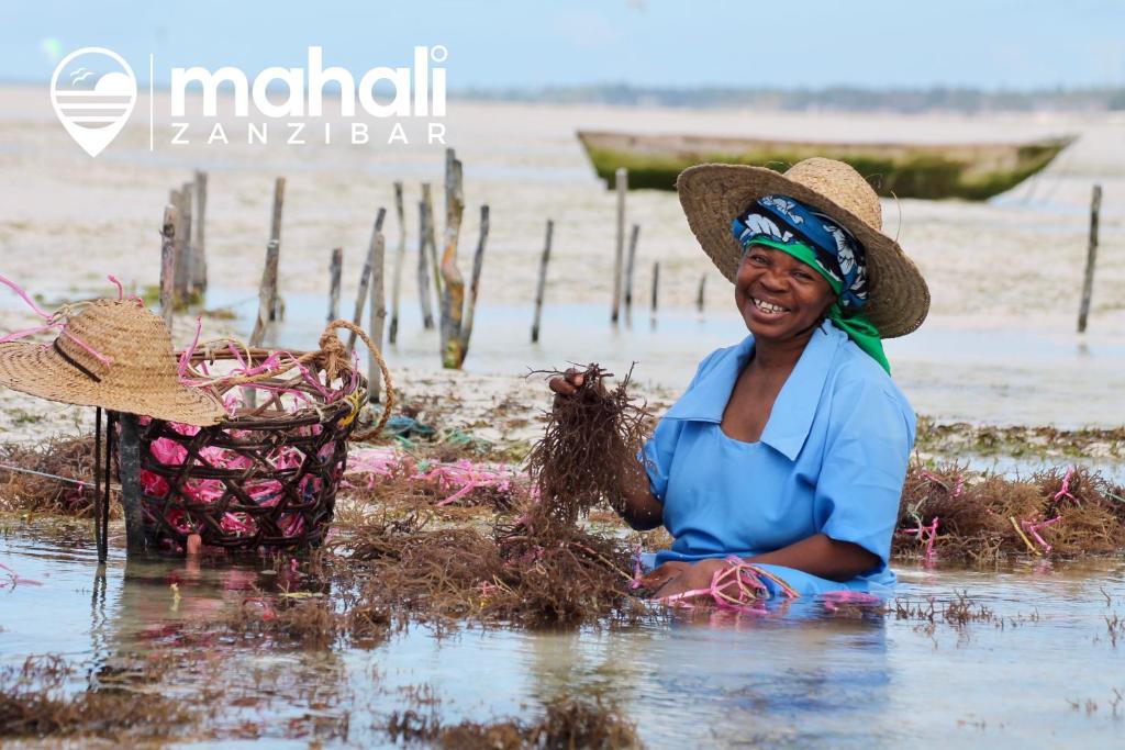 Mahali Zanzibar фото и отзывы