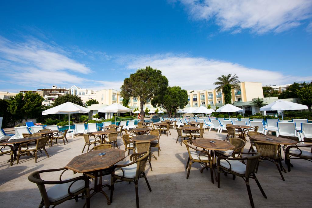 Hotel reviews, Royal Palm Beach