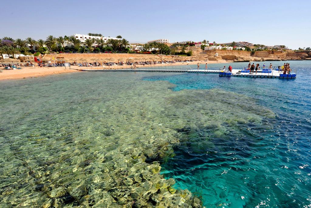 Domina Coral Bay Sultan Pool, Egipt, Szarm el-Szejk, wakacje, zdjęcia i recenzje
