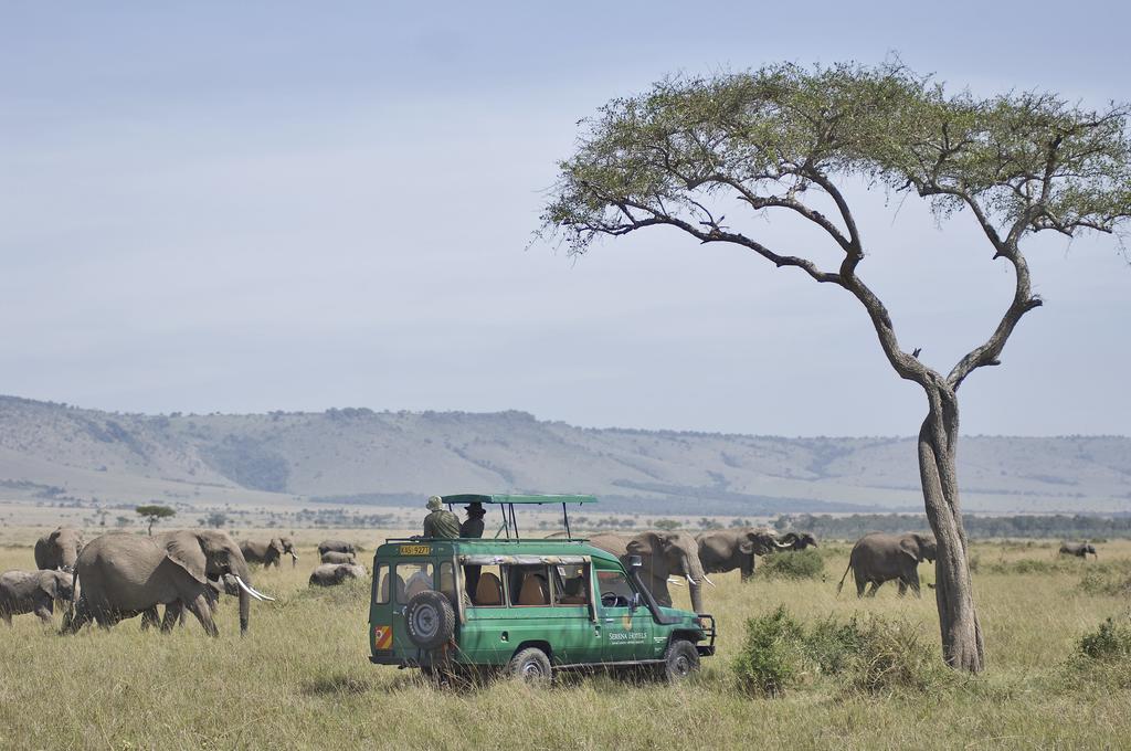 Горящие туры в отель Mara Serena Safari Lodge Масаи-Мара Кения