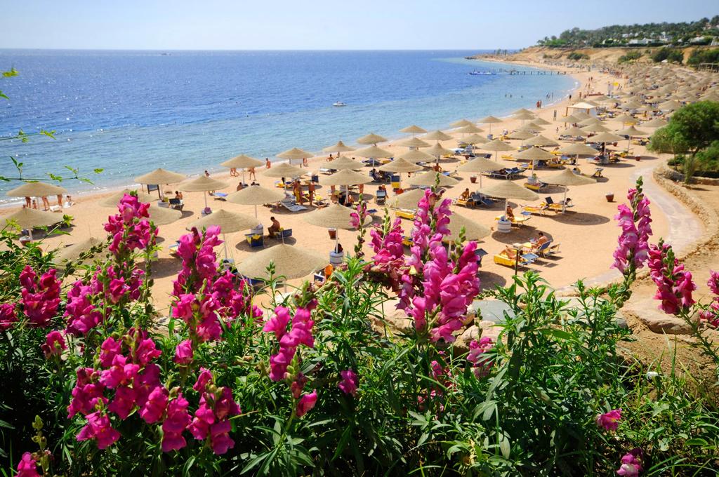 Hot tours in Hotel Domina Coral Bay Aquamarine Pool Sharm el-Sheikh Egypt