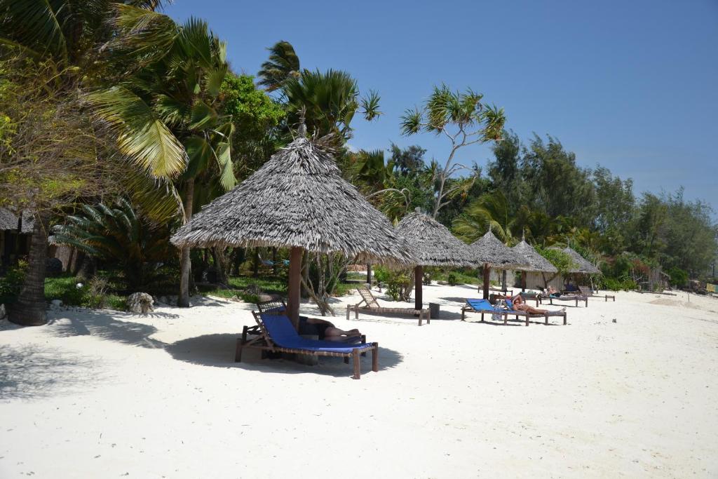Отель, Танзания, Джамбиани, Villa De Coco Beach Resort