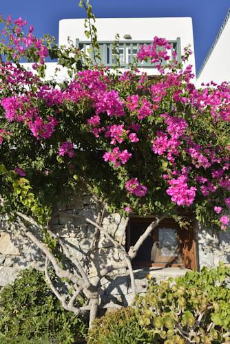 Туры в отель Pelican Bay Art Hotel Миконос (остров) Греция