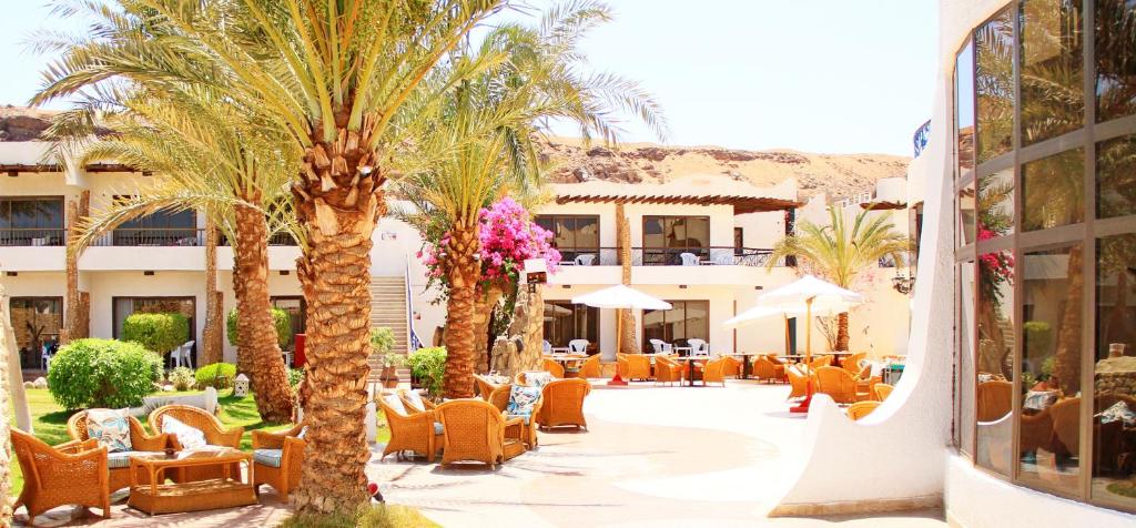 Тури в готель Turquoise Beach Hotel Шарм-ель-Шейх Єгипет