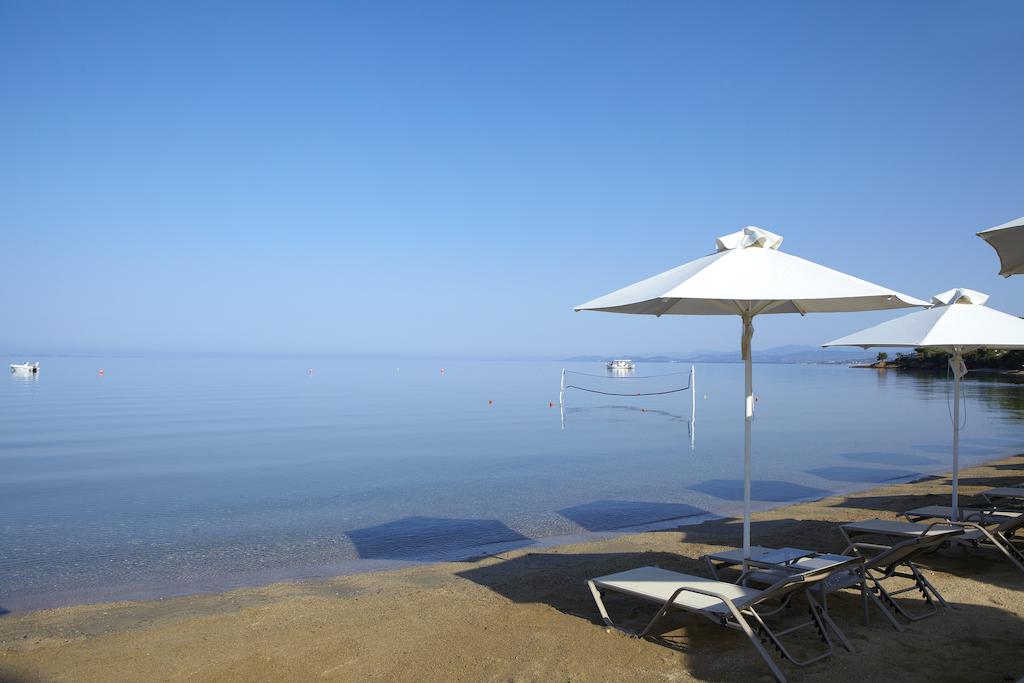 Сітонія, Anthemus Sea Beach Hotel & Spa, 5