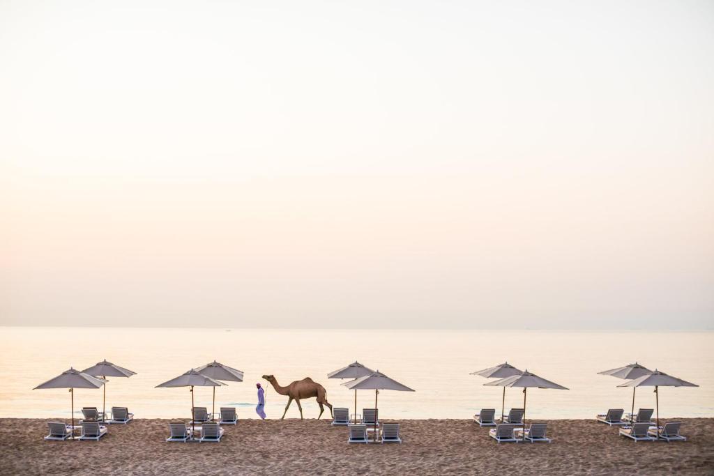 Intercontinental Fujairah Resort Zjednoczone Emiraty Arabskie ceny