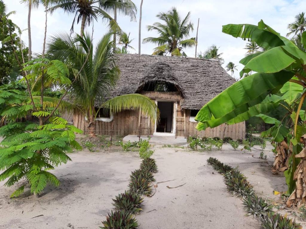 Barefoot Zanzibar, Танзанія, Мічамві, тури, фото та відгуки