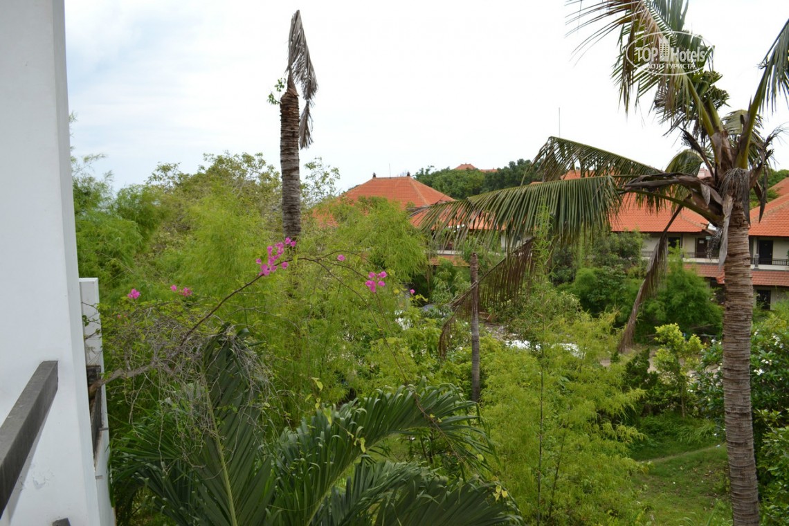 Відгуки про готелі Club Bali Mirage