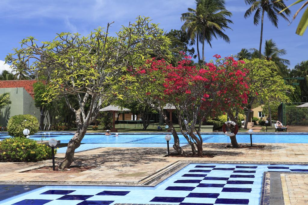 Тури в готель Club Palm Bay Маравіла Шрі-Ланка