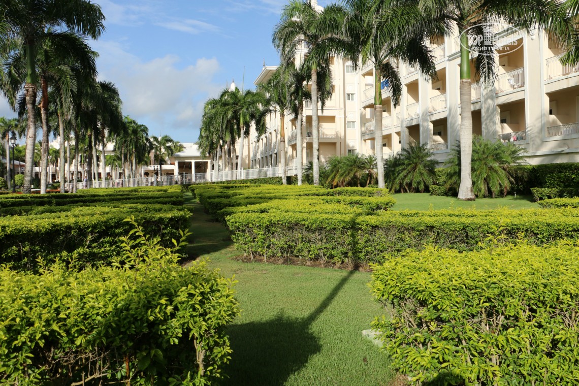 Горящие туры в отель Riu Palace Punta Cana Пунта-Кана Доминиканская республика