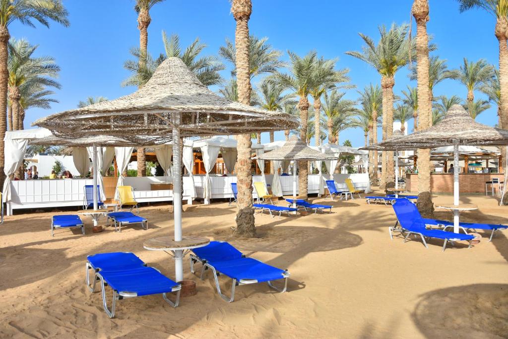 Отзывы гостей отеля Seti Sharm Resort