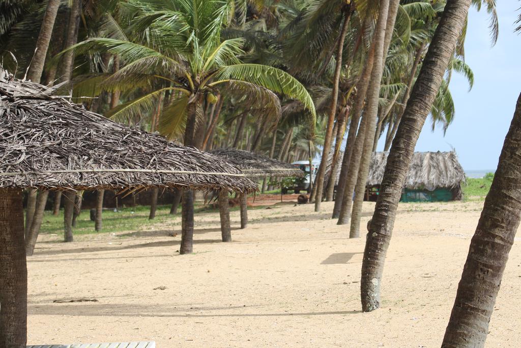 Отдых в отеле Malabar Ocean Front Resort & Spa Керала Индия