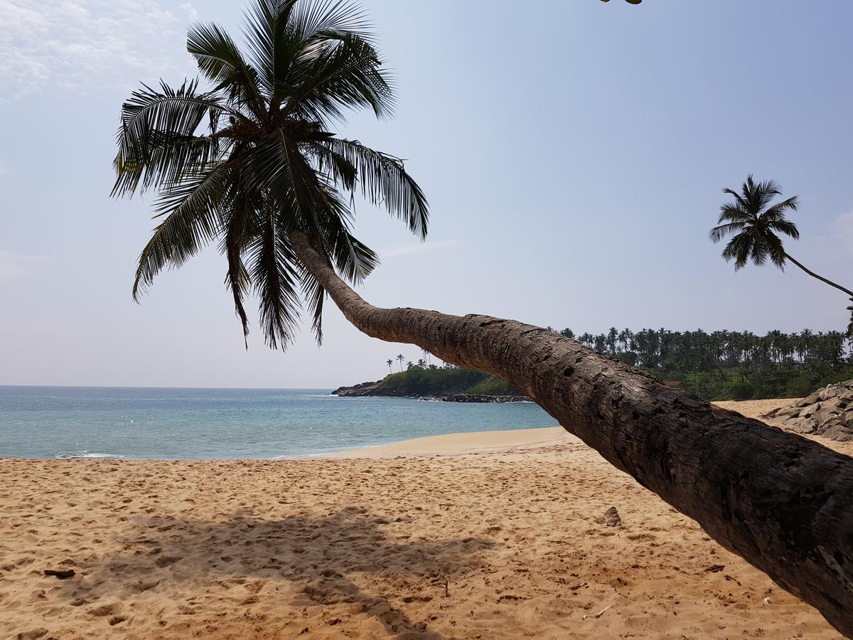 Tangalle Bay, Sri Lanka, Tangalle, tours, photos and reviews