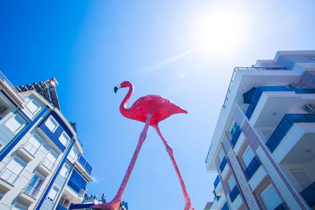Flamingo Residence фото туристов