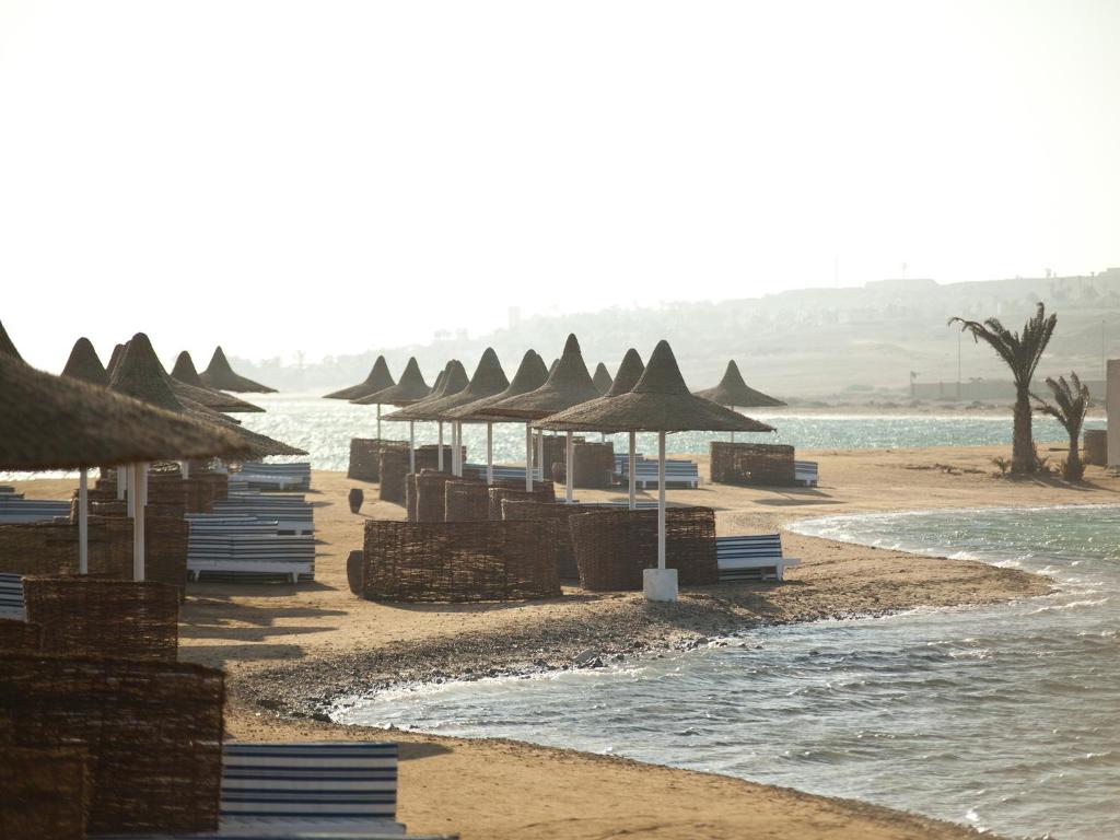 Coral Beach Hurghada (ex.Coral Beach Rotana Resort), Egipt, Hurghada, wakacje, zdjęcia i recenzje