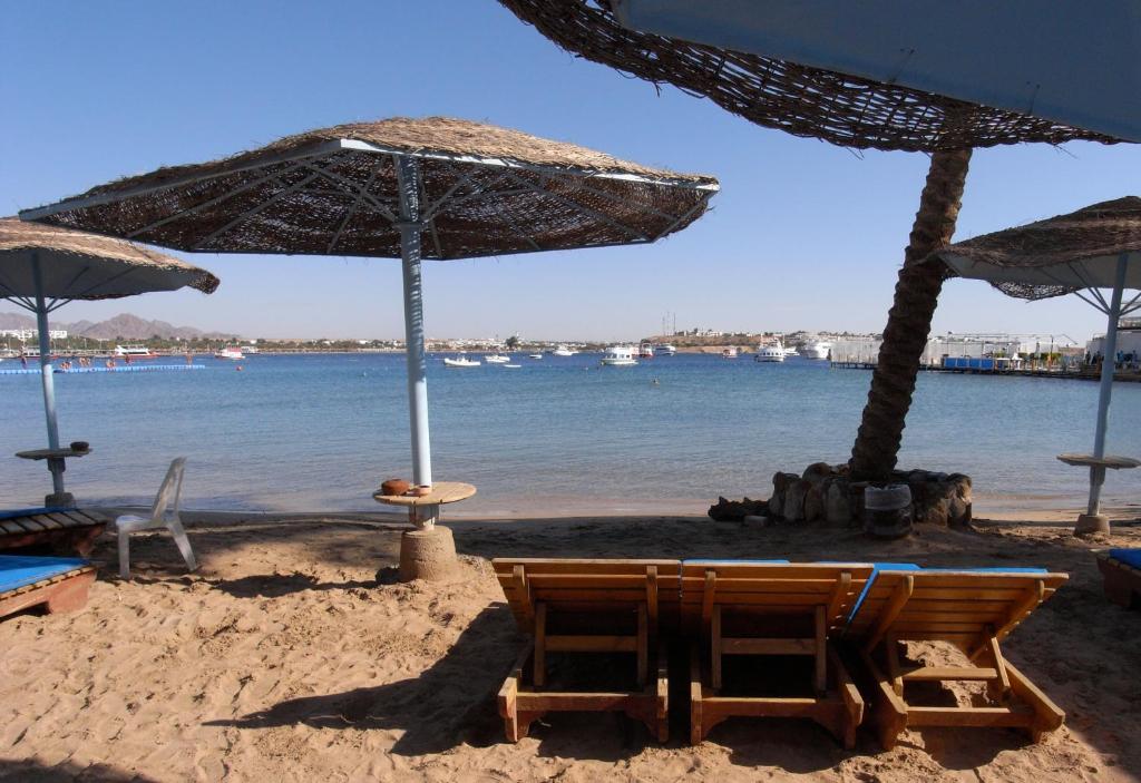 Відгуки про відпочинок у готелі, Marina Sharm Hotel