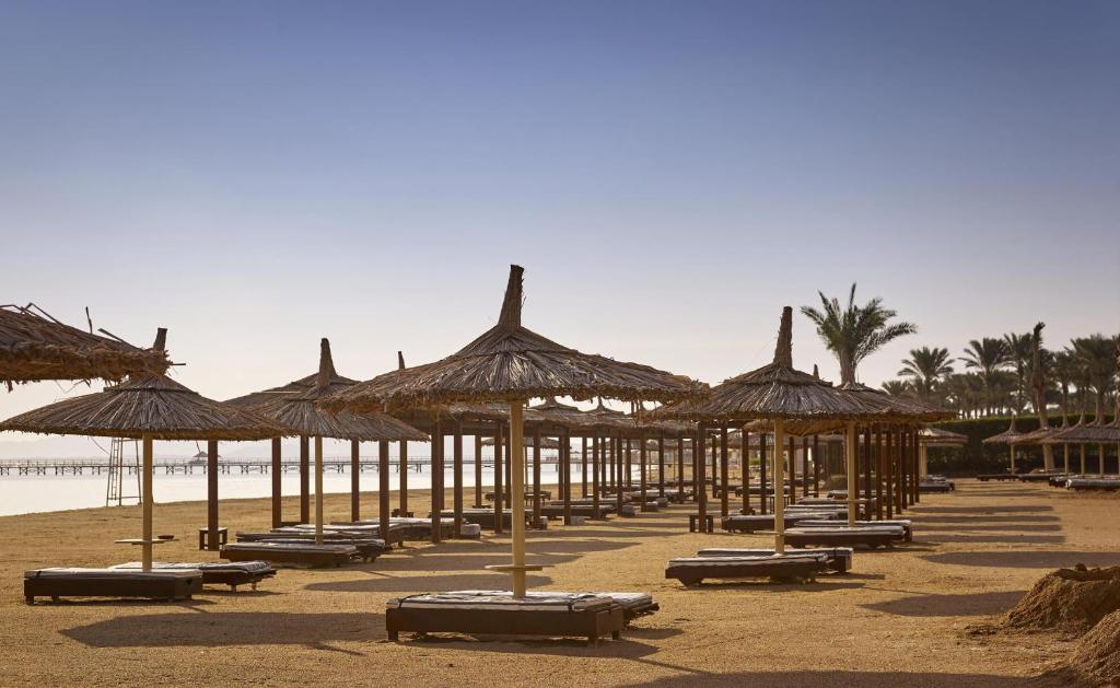 Coral Sea Holiday Resort Египет цены