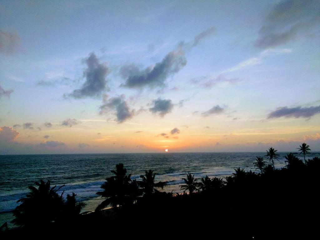 Отдых в отеле Ocean View Cottage Хиккадува Шри-Ланка
