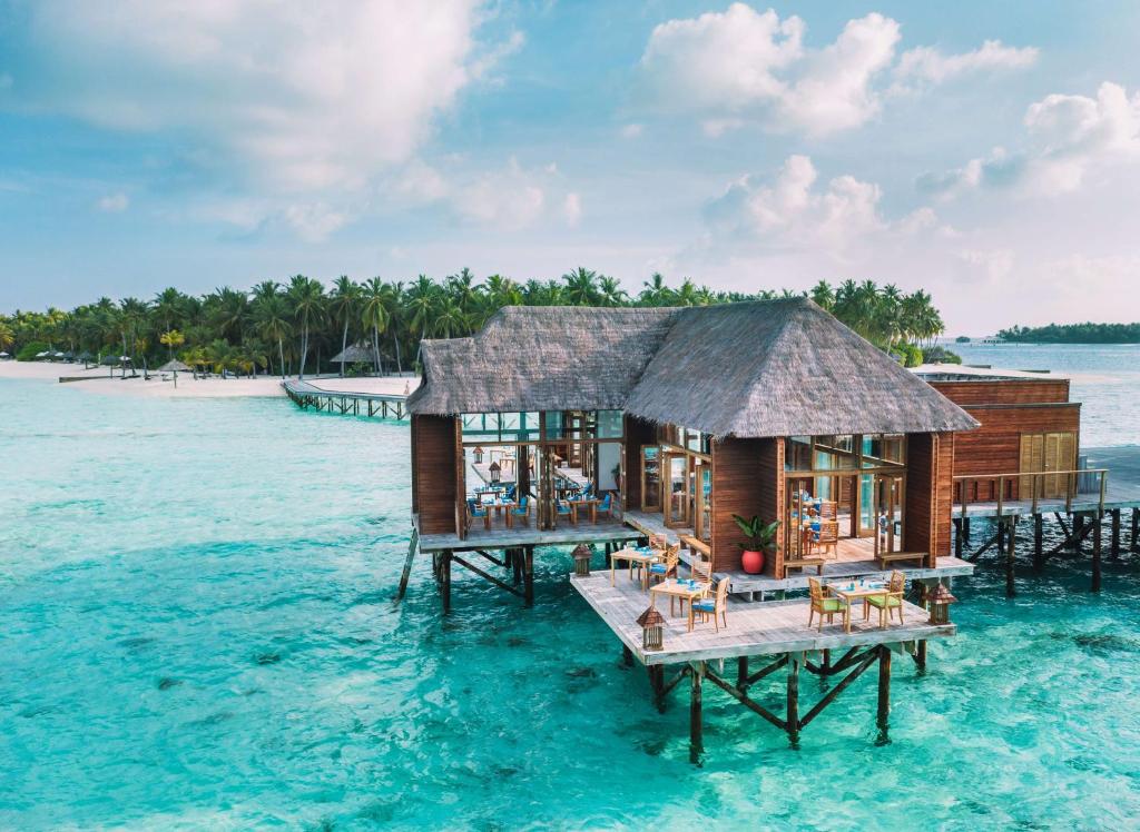Hotel rest Conrad Maldives Rangali Ari & Razd Atoll