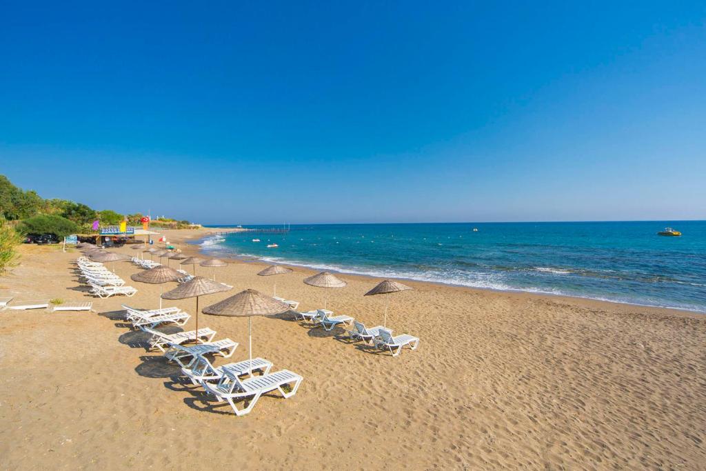 Oferty hotelowe last minute Catİnsos Beach Garden Hotel (ex. Alissa Garden Hotel, Iso & Asi Turkler Hotel) Alanya Turcja
