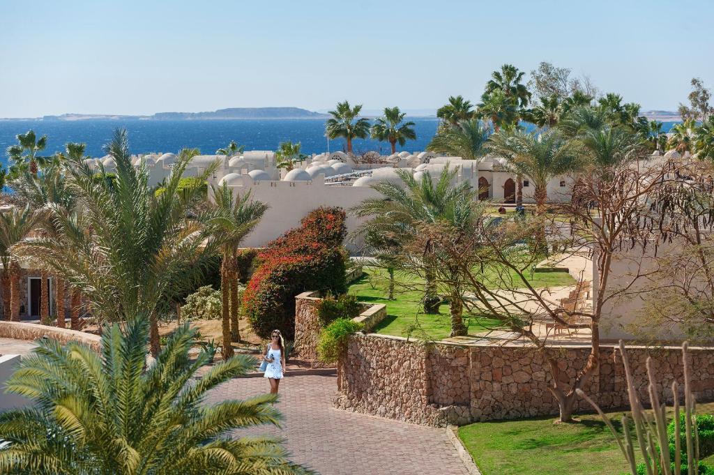 Готель, Шарм-ель-Шейх, Єгипет, Reef Oasis Beach Resort