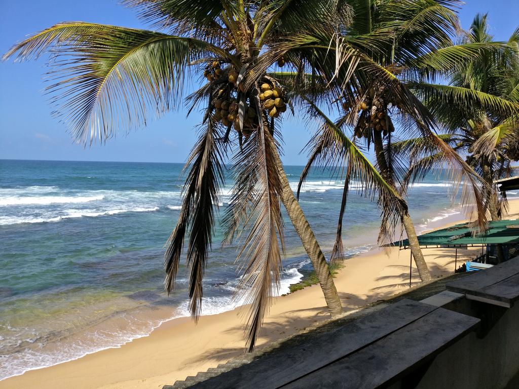 Polina Beach Resort (ex. Hansa Surf), Hikkaduwa, Sri Lanka, zdjęcia z wakacje