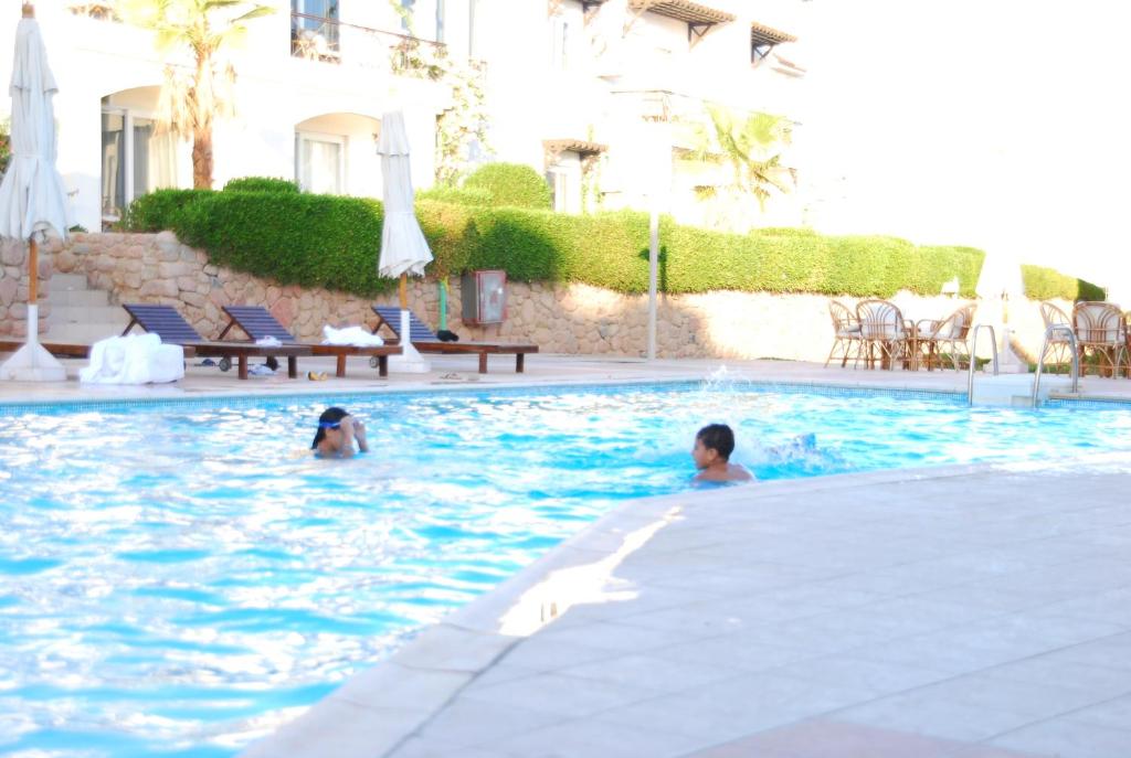 Logaina Sharm Resort фото и отзывы
