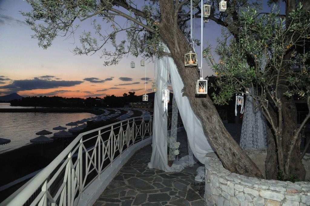Горящие туры в отель Bomo Club Palmariva Beach Эвбея (остров) Греция