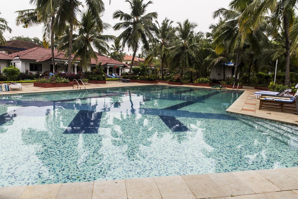 Goa Villa Holiday, VILLA, фотографии