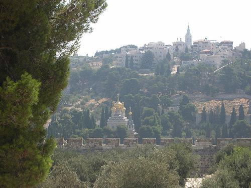 Opinie gości hotelowych Jerusalem Panorama