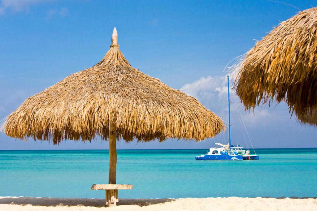 Hot tours in Hotel Hyatt Regency Aruba Resort & Casino