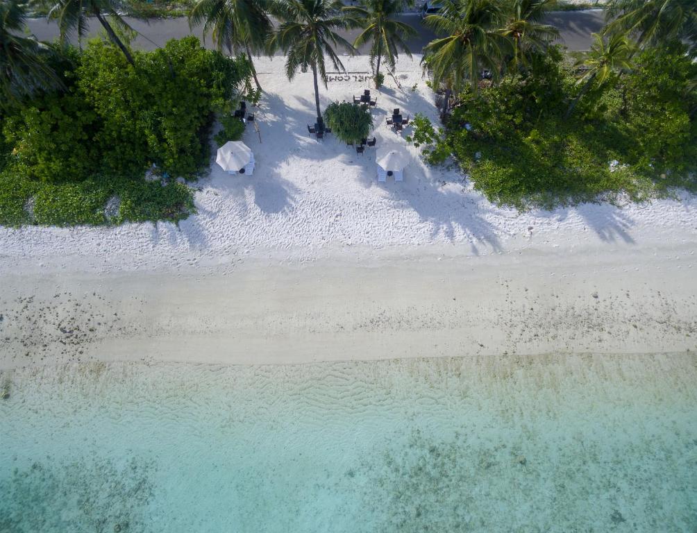 White Harp Beach, Хулхумале, Мальдивы, фотографии туров