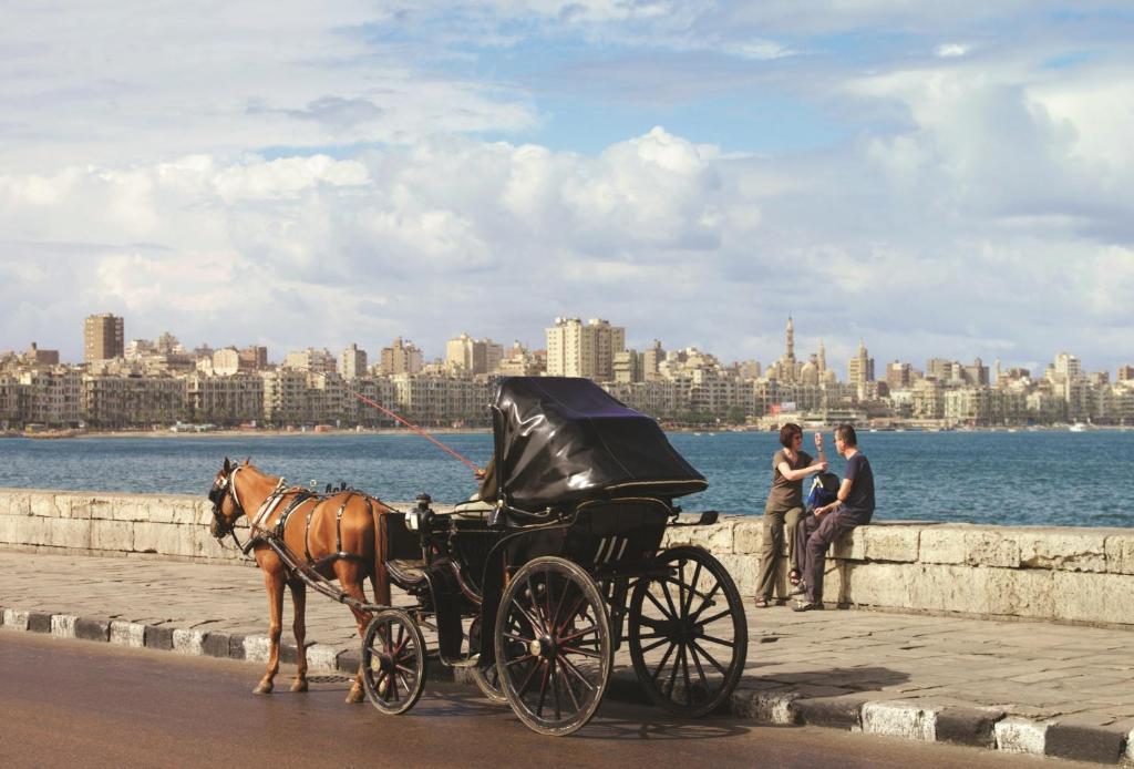 Wakacje hotelowe Four Seasons Hotel Alexandria At San Stefano Aleksandria Egipt
