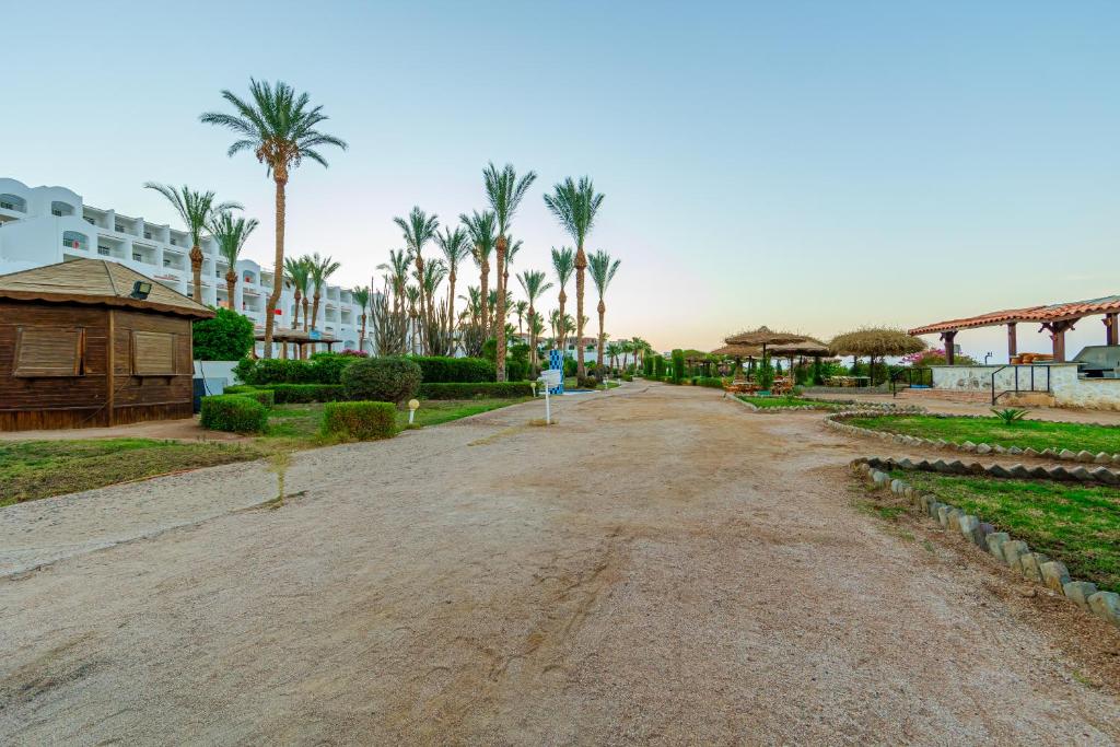 Siva Sharm (ex. Savita Resort), rozrywka