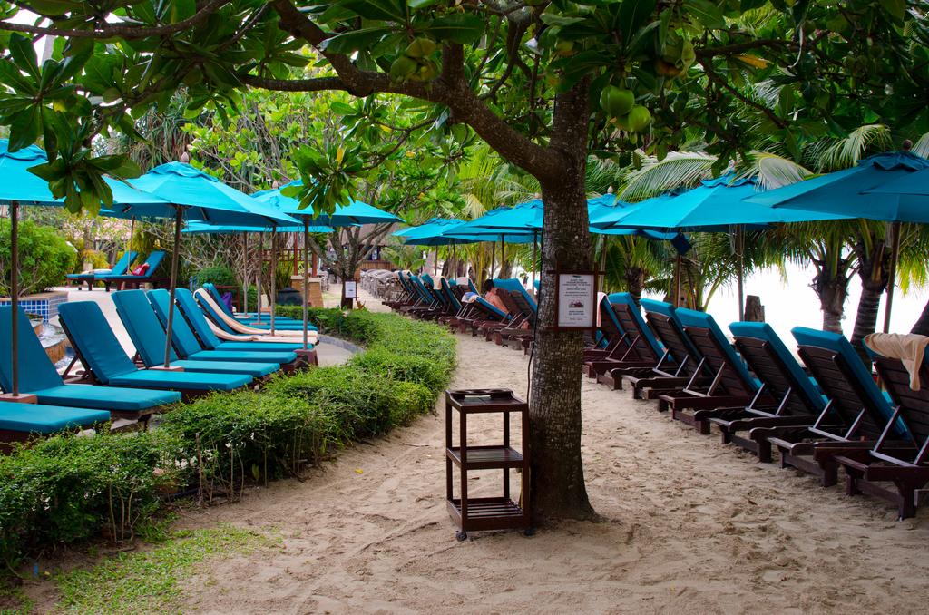 Hotel reviews, Koh Chang Paradise Resort