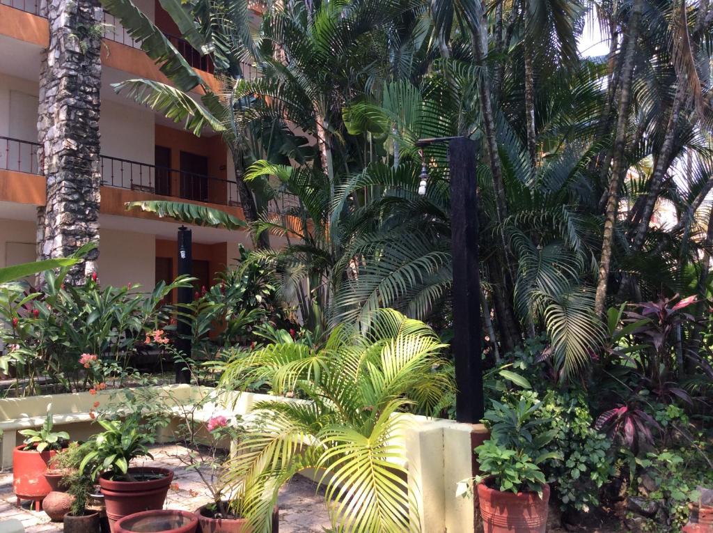 Туры в отель Plaza Palenque Inn