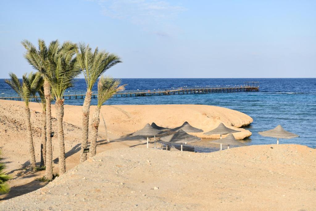 Hot tours in Hotel Wadi Lahmy Azur Resort