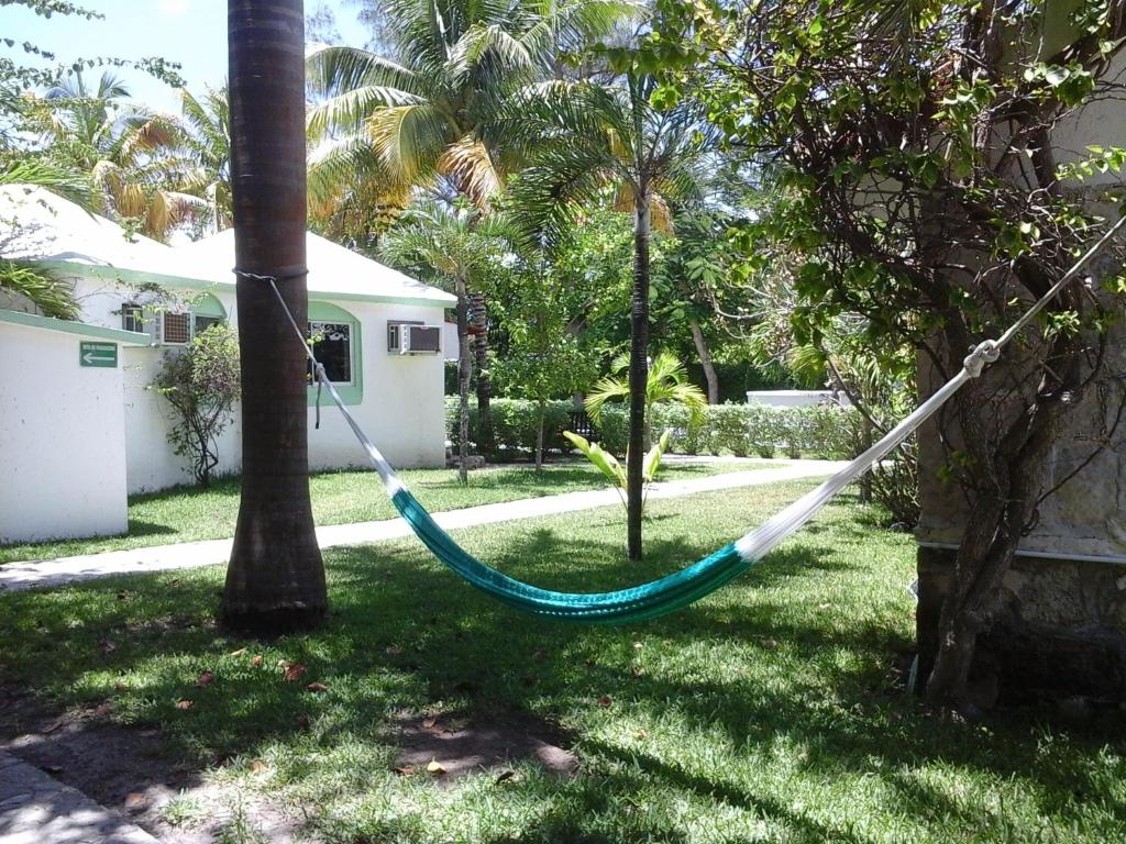 Отдых в отеле Hotel Club Akumal Caribe