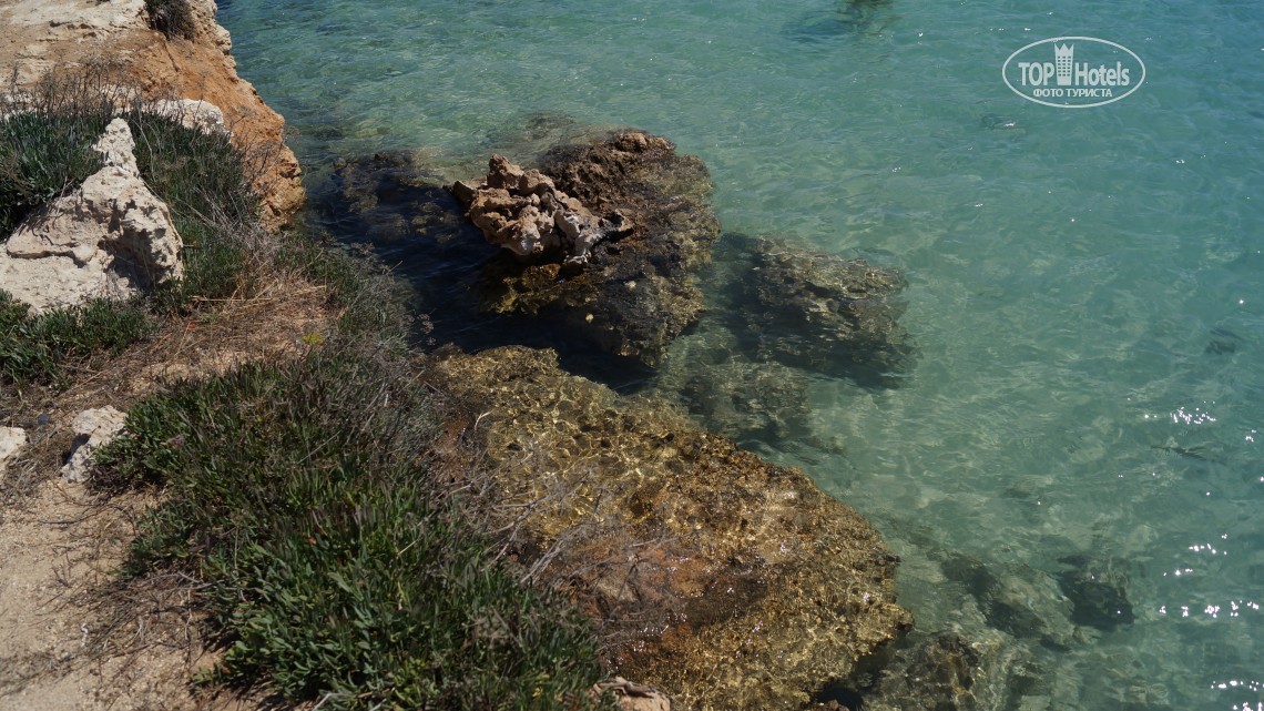 Mimosa Beach Hotel, Протарас, Кіпр, фотографії турів