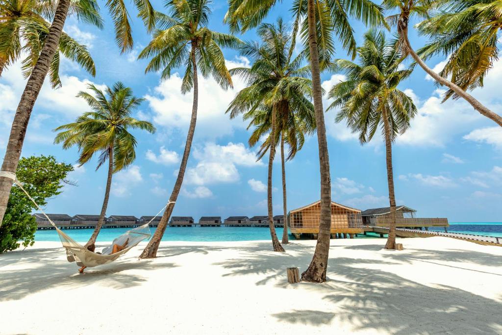 Kudaddoo Maldives Private Island, фото отдыха