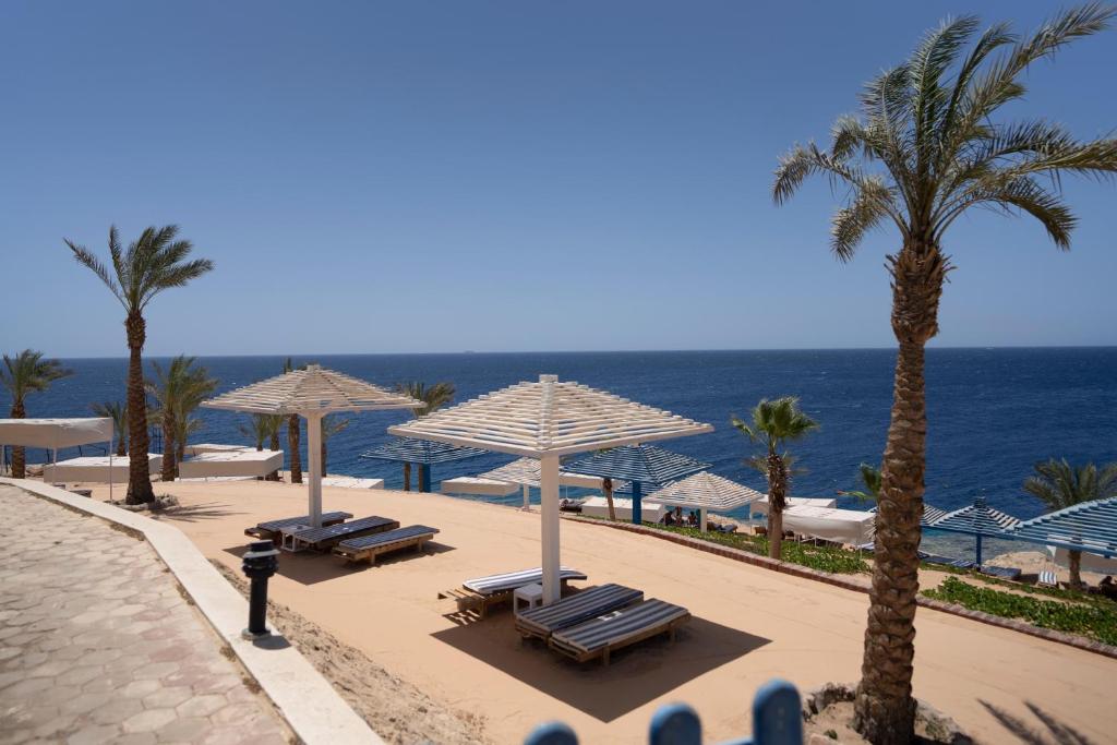 Горящие туры в отель Grand Oasis Resort Sharm El Sheikh Шарм-эль-Шейх Египет