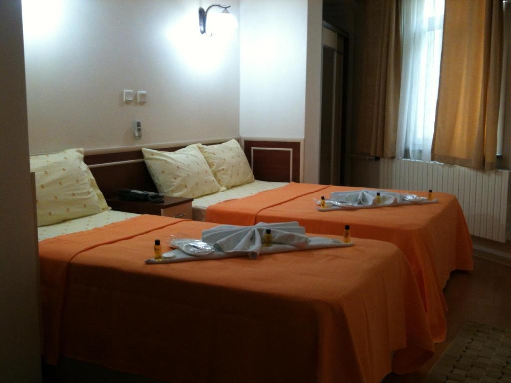Отдых в отеле Hotel Silviya
