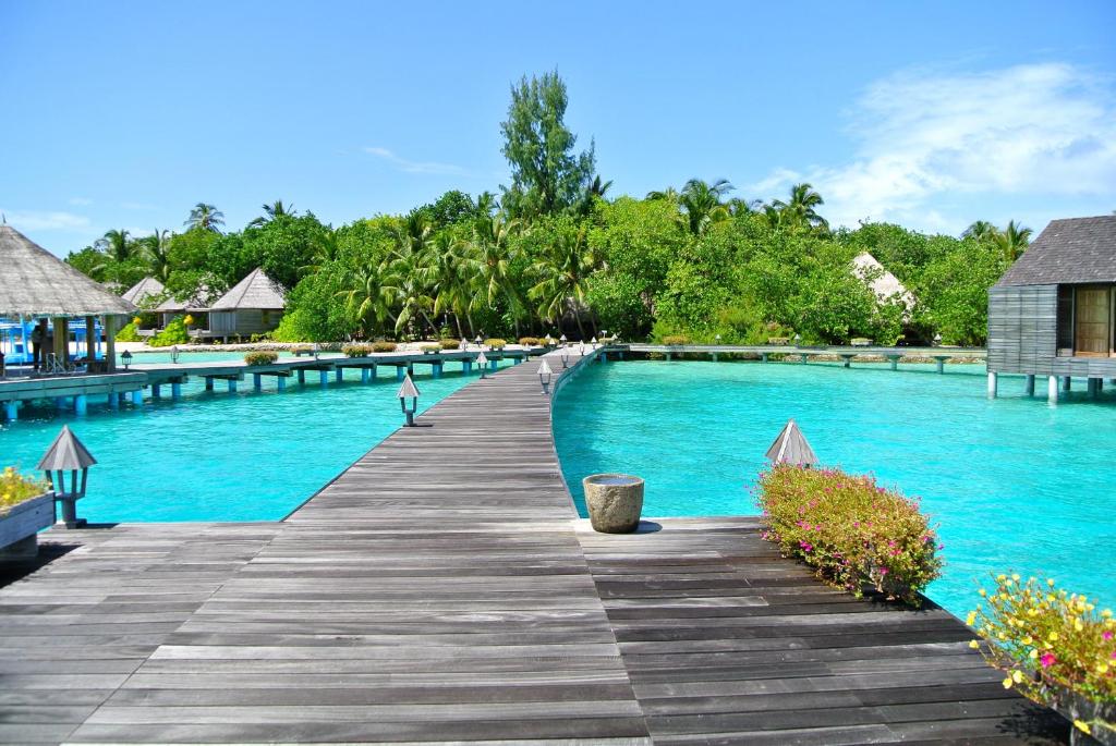 Туры в отель Gangehi Island Resort Ари & Расду Атоллы Мальдивы