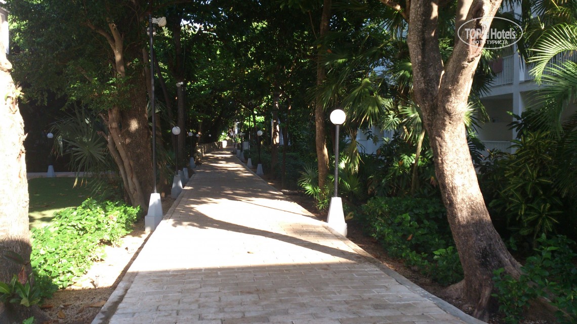 Відпочинок в готелі Riu Yucatan Плая-дель-Кармен Мексика