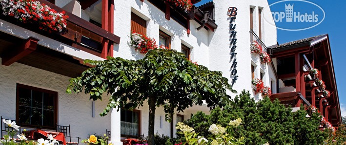 Brunnerhof Hotel, Больцано, фотографии туров