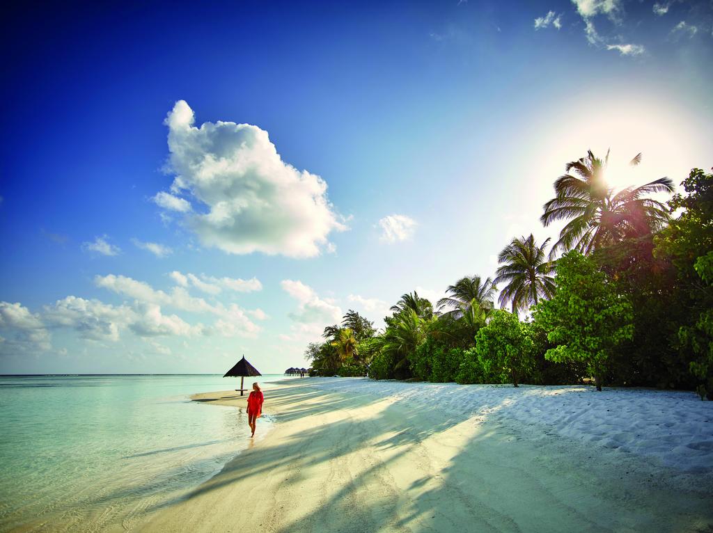 Oferty hotelowe last minute Lux South Ari Atoll