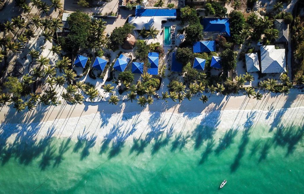 Отзывы про отдых в отеле, Indigo Beach Zanzibar