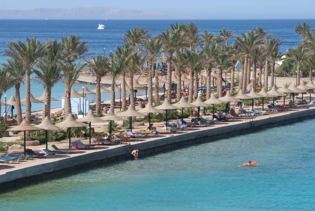 Hurghada Arabia Azur ceny