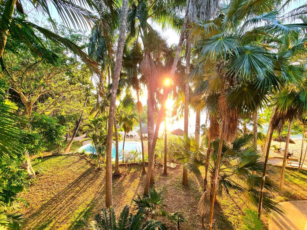 Jungle Paradise Beach Resort Танзания цены