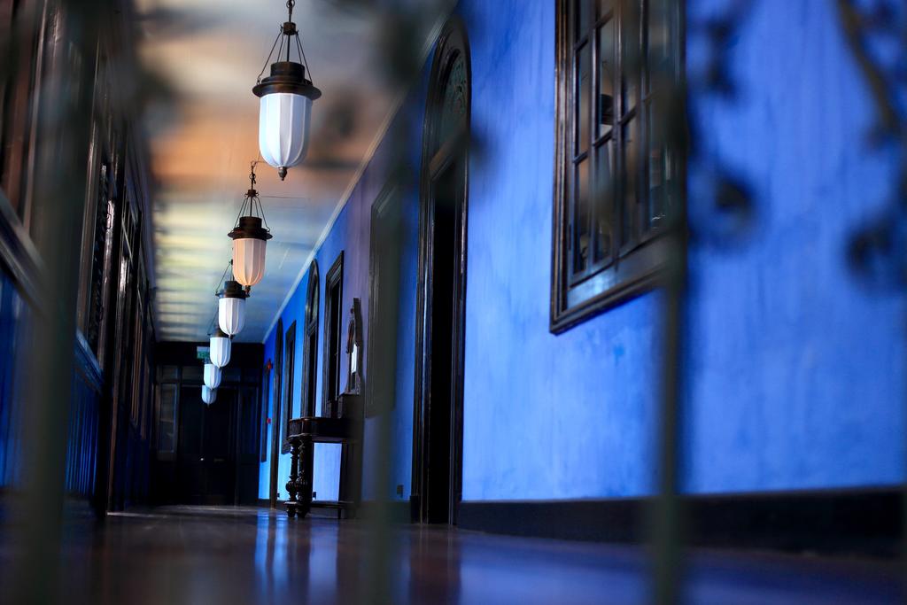 The Blue Mansion cena